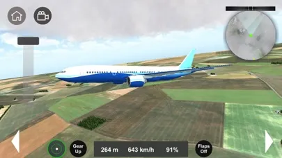 Flight Sim 2024应用截图