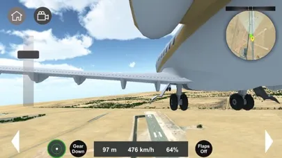 Flight Sim 2024应用截图