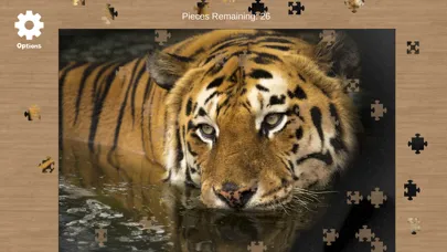 Jigsaw Puzzle X應用截圖