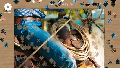Jigsaw Puzzle X應用截圖