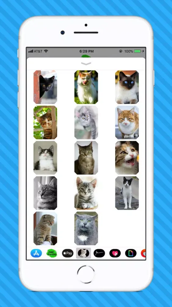 Captures d'écran de Cat Photo Stickers
