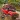 Offroad Driving Simulator Game