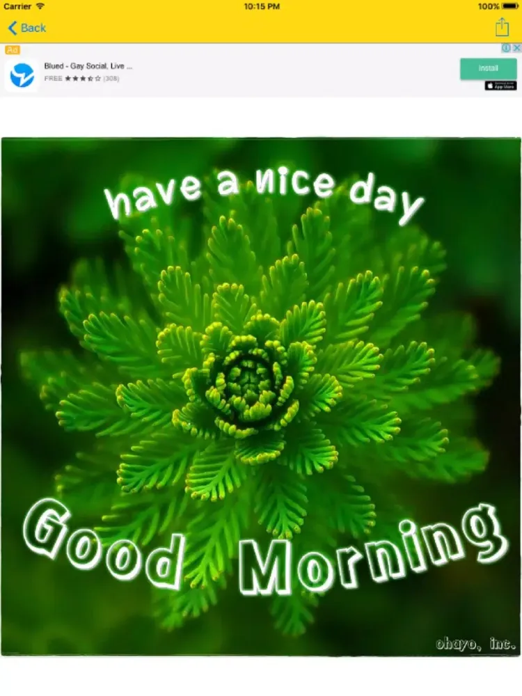 Ảnh chụp màn hình của Good Morning / Good Night iPad 