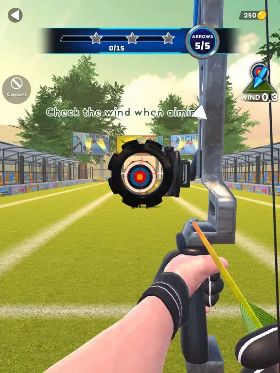 Archer Master 3D!! iPad  سکرین شاٹس