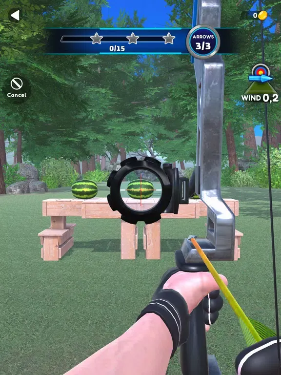 Archer Master 3D!! iPad  سکرین شاٹس