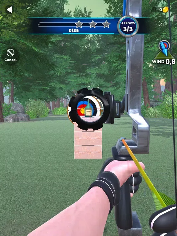 Archer Master 3D!! iPad  سکرین شاٹس