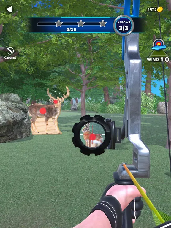 Archer Master 3D!! iPad  سکرین شاٹس