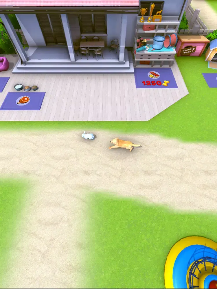 Puppy Academy iPad  Screenshots