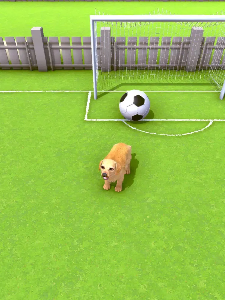 Puppy Academy iPad  Screenshots