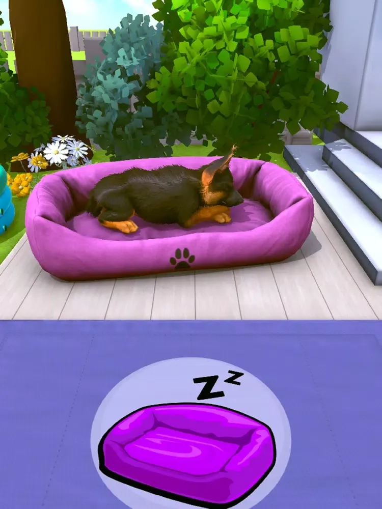 Puppy Academy iPad  Screenshots