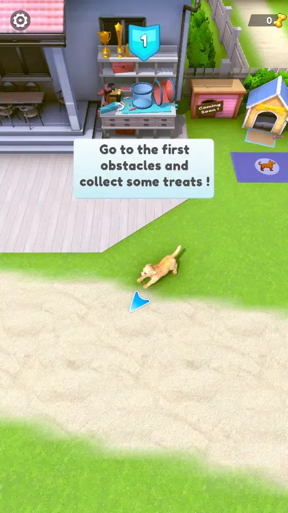Puppy Academy Screenshots