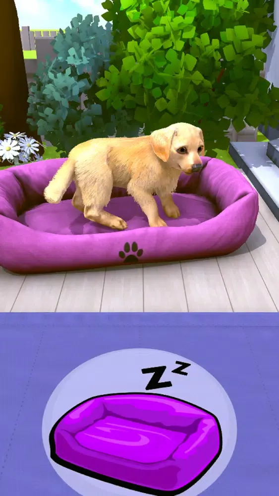Puppy Academy Screenshots