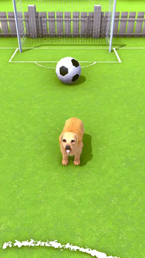 Puppy Academy Screenshots