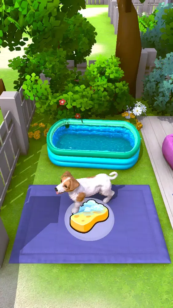 Puppy Academy Screenshots