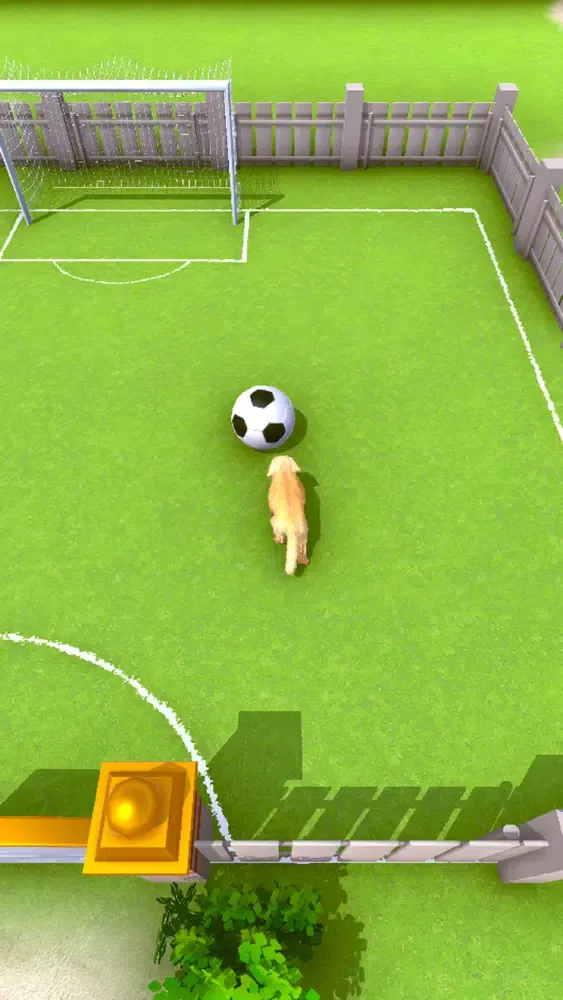 Puppy Academy Screenshots