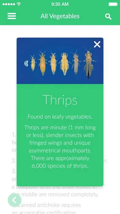 OK Vegetable Guide Screenshots