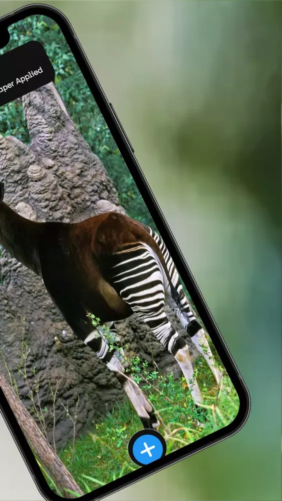 Okapi Wallpaper應用截圖