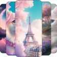 Wallpapers and Backgrounds