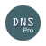 DNS Manager Pro
