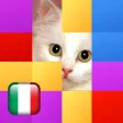 Indovina le Immagini