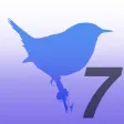 BIRD SCHOLAR USA Edition
