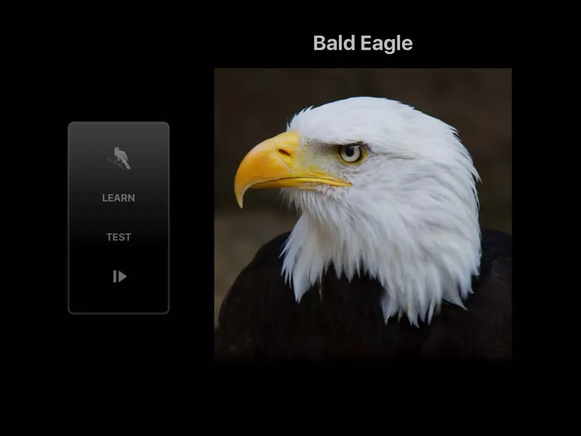 Screenshot di BIRD SCHOLAR USA Edition iPad 