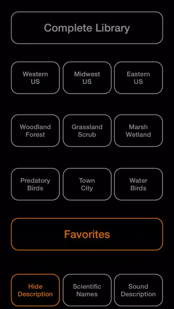 Screenshot di BIRD SCHOLAR USA Edition