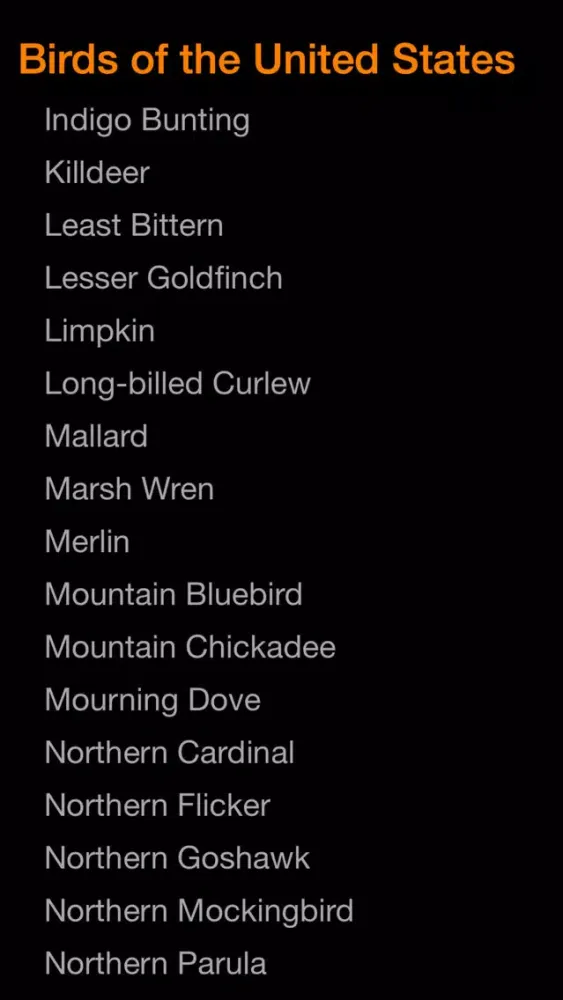 Screenshot di BIRD SCHOLAR USA Edition