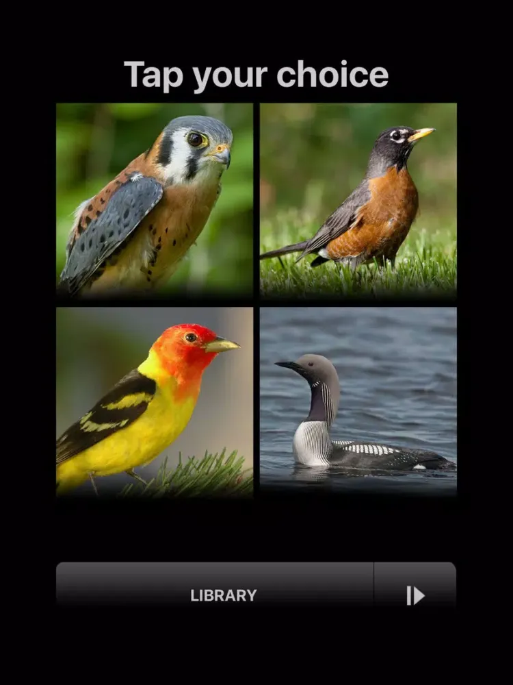 Capturas de pantalla de BIRD SCHOLAR Canada Edition iPad 