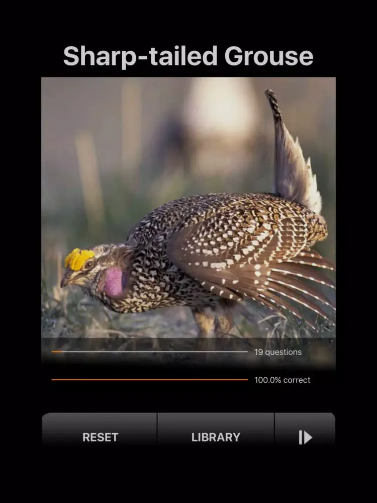 Capturas de pantalla de BIRD SCHOLAR Canada Edition iPad 