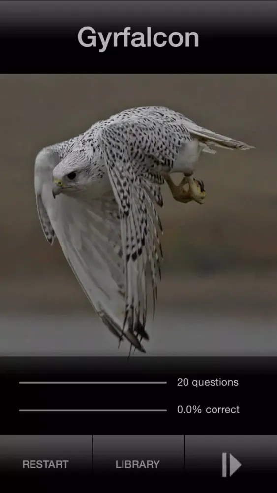 Capturas de pantalla de BIRD SCHOLAR Canada Edition