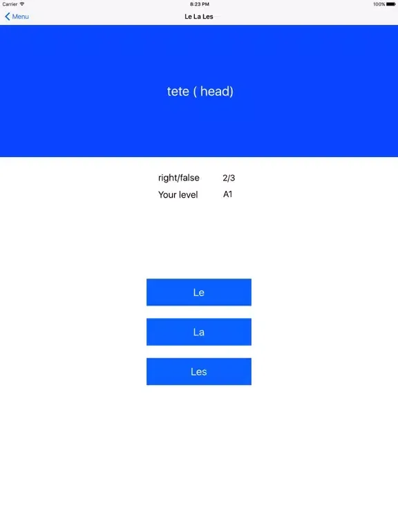 French Test A1 A2 B1 + Grammar iPad  স্ক্রিনশট