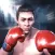 Boxing King 3D