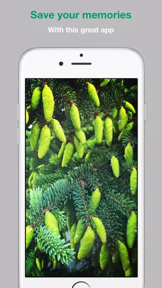 Capturas de tela do Live Camera for all phones!