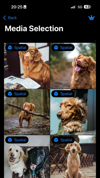 Spatial Video Studio Screenshots