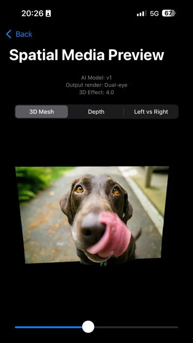 Spatial Video Studio Screenshots