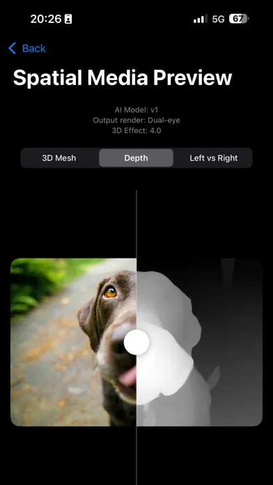 Spatial Video Studio Screenshots