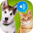 Animal sounds HD ! Animal sounds HD !