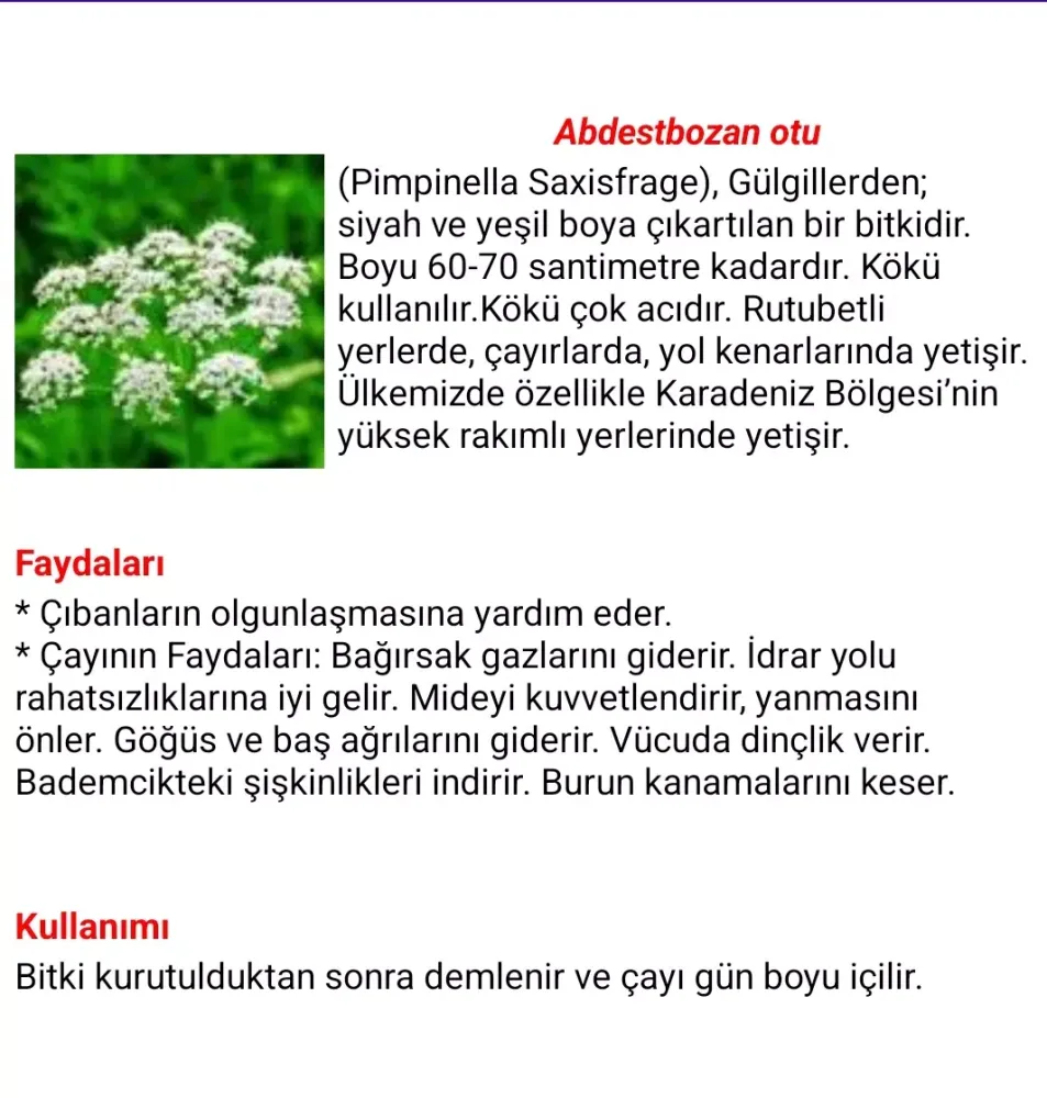 Şifalı Bitkiler Ekran Görüntüleri