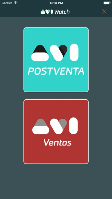 Capturas de tela do AviWatch
