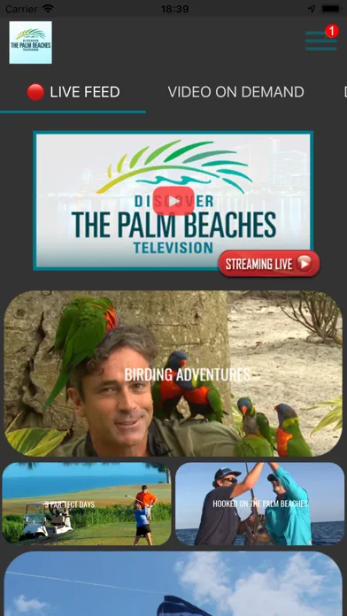 تصاویر The Palm Beaches TV