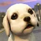 Dog Care Simulator: Save your Puppy from the Cars!