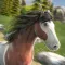 Horse Racing Derby: Riding 3D