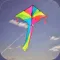 How to fly Kite