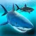 Sea Shark Adventure