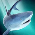 World of Sharks | Fun Deep Sea Shark Simulator Game For Free World of Sharks | Fun Deep Sea Shark Simulator Game For Free