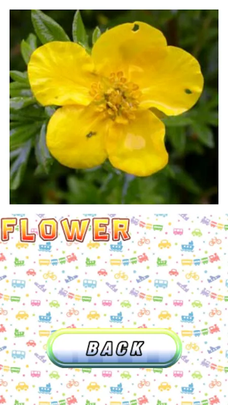 Скриншоты English 4 Kids