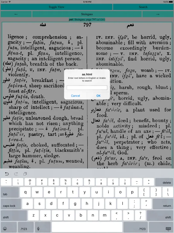Zrzuty ekranu Steingass iPad 
