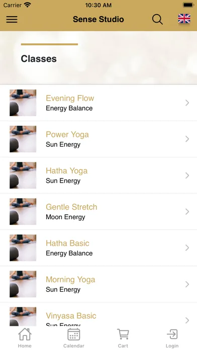 Sense Studio Yoga & Therapy স্ক্রিনশট