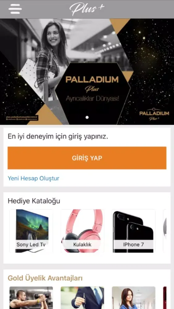 Tangkapan layar Palladium+